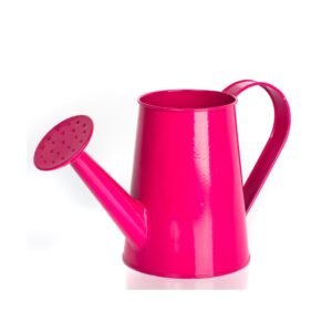 Watering Can