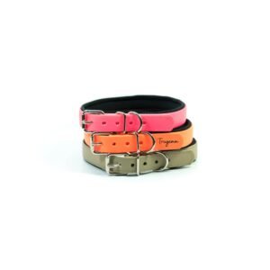 Pet Collar