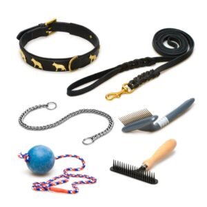 Cat Accessory Kit